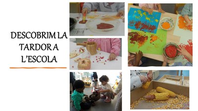 Imatge de la notícia Descobrim la tardor i la Castanyada a l'escola