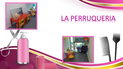 Imatge de la notícia LA PERRUQUERIA