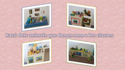 Imatge de la notícia Racó de l'animal