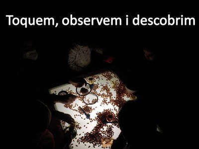 Imatge de la notícia Toquem, observem i descobrim