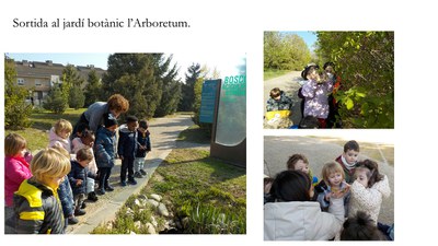 Imatge de la notícia VISITEM EL JARDÍ BOTÀNIC L'ARBORETUM