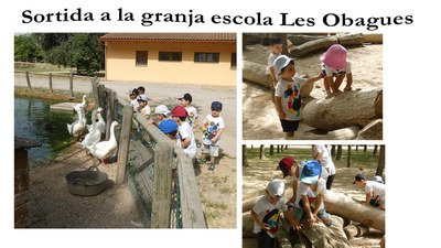 Imatge de la notícia VISITEM UNA GRANJA ESCOLA
