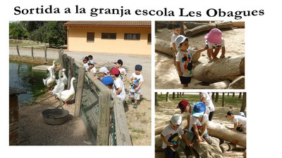 VISITEM UNA GRANJA ESCOLA