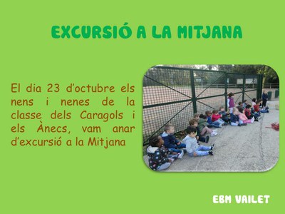 Anem d'excursió a la Mitjana
