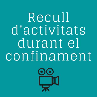 RECULL D'ACTIVITATS DURANT EL CONFINAMENT 
