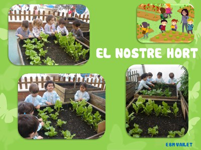 EL  NOSTRE  HORT